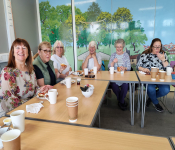 Bluebell Walk, Cream Tea